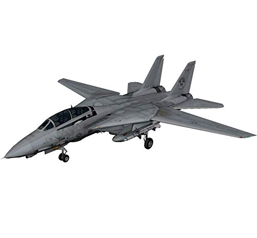 Y & Z Kits de modelo de plástico militar, 1/48 Estados Unidos F-14 Tomcat Fighter Puzzle Modelo, juguetes para adultos y coleccionables, 15.6 pulgadas LOLDF1