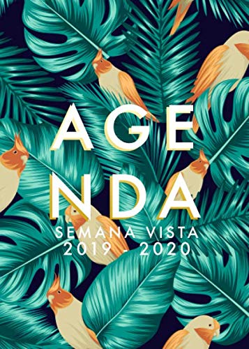 Agenda 2019-2020 Semana Vista: Agenda 18 meses 2019-2020 semana vista español | julio 2019 - diciembre 2020 | horario | hojas de palma y aves tropicales